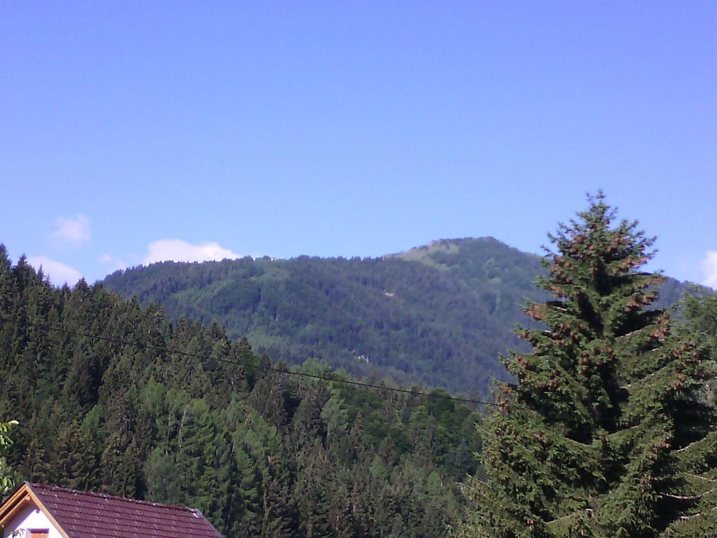 Appartements Zankl Kotschach-Mauthen ภายนอก รูปภาพ