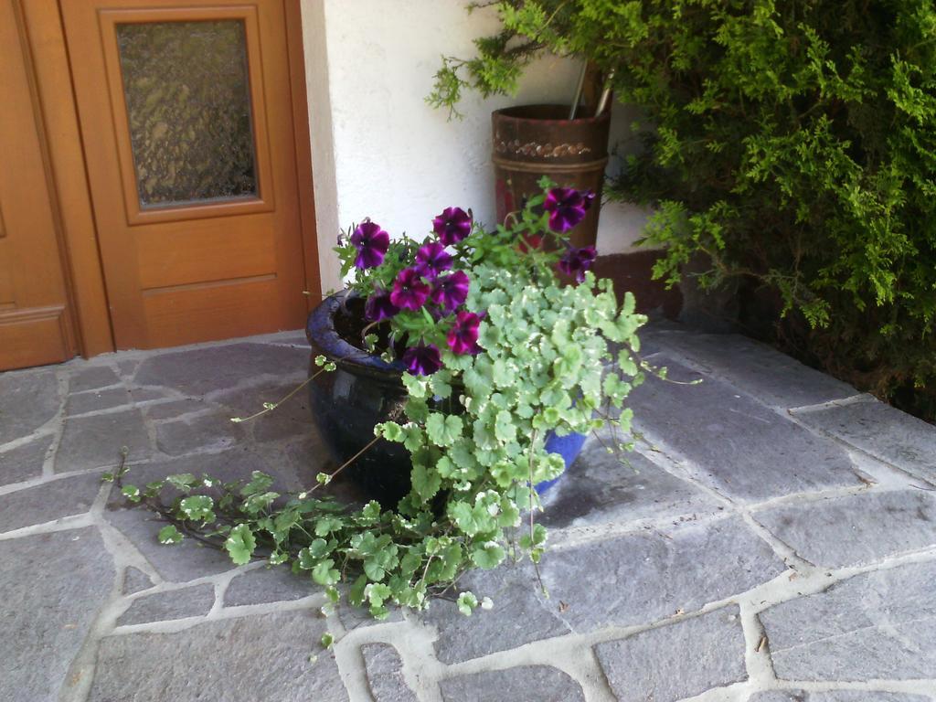 Appartements Zankl Kotschach-Mauthen ภายนอก รูปภาพ