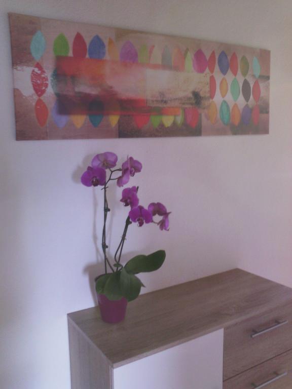 Appartements Zankl Kotschach-Mauthen ภายนอก รูปภาพ